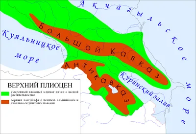 Ресторан Ресторан Кавказ - Калининград: фотоотчеты, события, как добраться