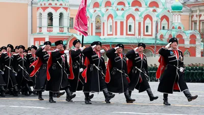 Сколько на самом деле казаков в России и на Кубани | Юга.ру