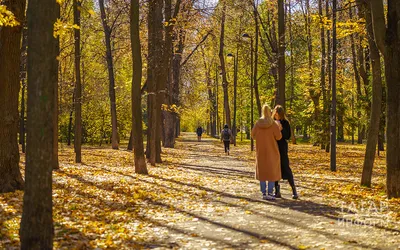 Казань :: Россия :: сфотографировал сам :: Черное озеро :: парк :: страны  :: ночь :: Осень :: фото / смешные картинки и другие приколы: комиксы, гиф  анимация, видео, лучший интеллектуальный юмор.