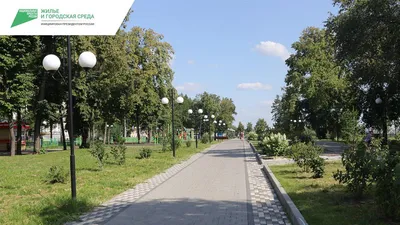 Лучшие места для пикника и прогулок в Кемерове | 14.06.2023 | Кемерово -  БезФормата