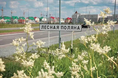 Лесная поляна\" в Кемерово, как всё начиналось?