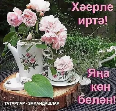 Әйдә Online - Изучаем татарский - Хәерле иртә 😃 Учим красивое слово 🐣 Не  путать с Гомером из Симпсонов ⛔ Правильное произношение слова:  bit.ly/2AGmLCt | Facebook