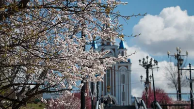 Хабаровск появился на «музыкальной» карте городов России