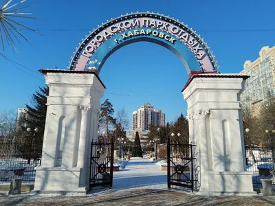 Хабаровск: зеленый, солнечный, протестный | Пикабу