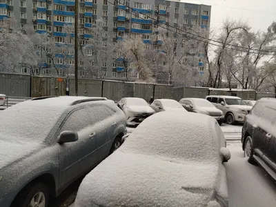 В Хабаровском крае китайских туристов не пропускают в Россию - РИА Новости,  06.10.2023