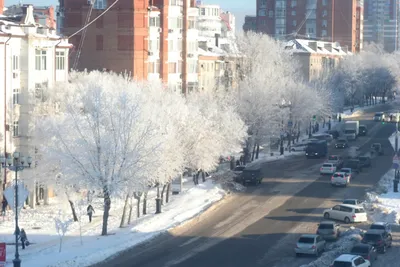 Зима близко: Хабаровск начал готовиться к Новому году (ФОТО) — Новости  Хабаровска