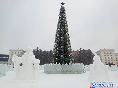 Снежная сказка: в Хабаровск пришла зима (ФОТО) — Новости Хабаровска