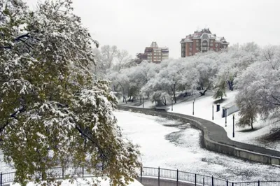 Январский Хабаровск утром, днем, вечером и ночью