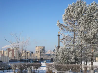 Снеговики и гололед: зима пришла в Хабаровск (ФОТО) — Новости Хабаровска