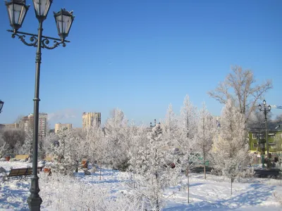 В последний день зимы в Хабаровске солнечно и без осадков