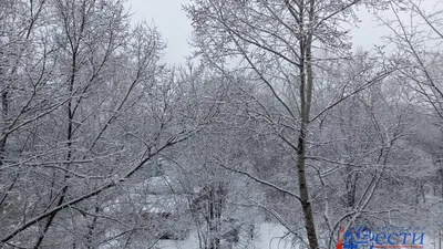 Новогодний городок в хабаровском парке «Динамо» разберут после 23 февраля |  Телеканал \"ХАБАРОВСК\"