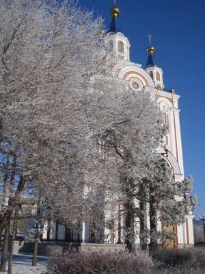 Хабаровск фото зима фотографии