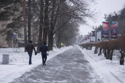 Новогодний городок в парке «Динамо» в Хабаровске простоит до конца зимы |  26.01.2021 | Хабаровск - БезФормата