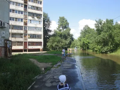 DVHAB на районе: откуда на Красной Речке венгерские и корякские улицы  (ФОТО; ВИДЕО) — Новости Хабаровска