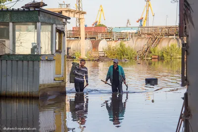 Участок в Хабаровский край, Хабаровск Красная Речка мкр, пер. ., Купить  земельный участок в Хабаровске, ID объекта - 20005856931