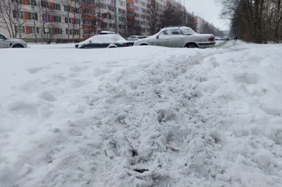 Погода в Хабаровске установила рекорд по морозу | 25.01.2023 | Хабаровск -  БезФормата