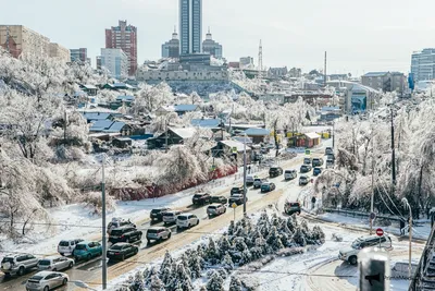 Погода в -24 градуса нещадно \"заморозит\" Владивосток. Определены даты -  PrimaMedia.ru