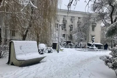 Город Хабаровск: климат, экология, районы, экономика, криминал и  достопримечательности | Не сидится