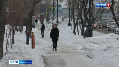 Погода в Хабаровске 17 ноября: прогноз погоды в Хабаровском крае на четверг  17 ноября - KP.RU