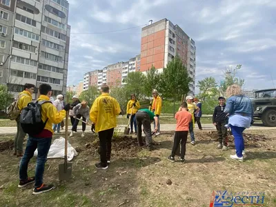 Сталинки» в Хабаровске: обратная сторона уходящей эпохи - МК Хабаровск