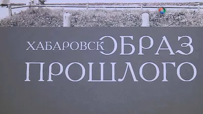 Деревья высадили в сквере возле кинотеатра «Хабаровск»