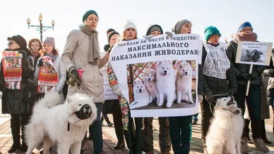 Девушки, обвиняемые в живодёрстве, пытали бездомного хабаровчанина | Пикабу