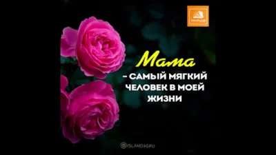 Берегите своих родителей #цитаты #цитатадня #цитатыпрожизнь #мудрость ... |  TikTok