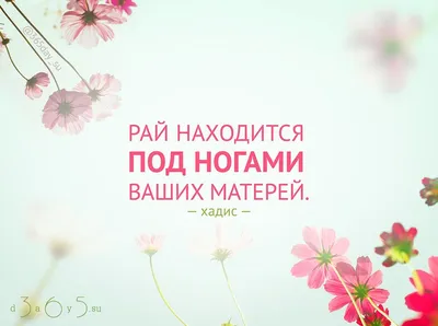 Заслужить довольства матери при её жизни... #хадис #Мухаммад #ислам  #мусульмане #рай #мать #мама #мусульманскийкалендарь #цитатокартинки… |  Ислам, Мама, Мотивация