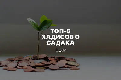 Хадис дня Картина @sad.nastavleniy Там ин ша Аллагь скоро такие картинки  будут #хадис #пророкмухаммад #мухаммадﷺ #истина #ислам… | Instagram