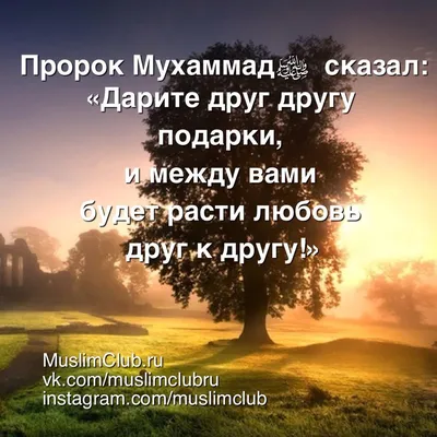 Instagram photo by Тут Хадисы Пророка Мухаммада ﷺ • Feb 22, 2023 at 12:50 PM