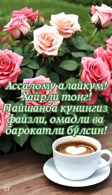 Идеи на тему «АССАЛОМУ АЛАЙКУМ! ХАЙИРЛИ ТОНГ!» (160) в 2024 г | тонга,  географическая деятельность, тюльпановый сад