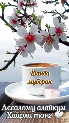 ХАЙРЛИ ТОНГ КАДИРДОНЛАРИМ 🌷🌹🌷🌹🌷🌹🌷🌹🌷🌹🌷🌹 | ВКонтакте