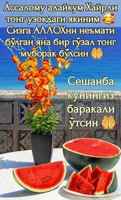 Бухара мой любимый город - Хайрли тонг🌷🌷🌷🌷 🌹🌹🌹🌹Бугунги кун учун  Алхамдуллулох. Эрталабки тонгни Сог саломат кутиб олдик. Азизларим Хар бир  кунимизга минг шукр. 🌹 | Facebook