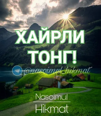 Хайрли тонг, изтиробим, Сонгул Унсал купить по низким ценам в  интернет-магазине Uzum (751326)