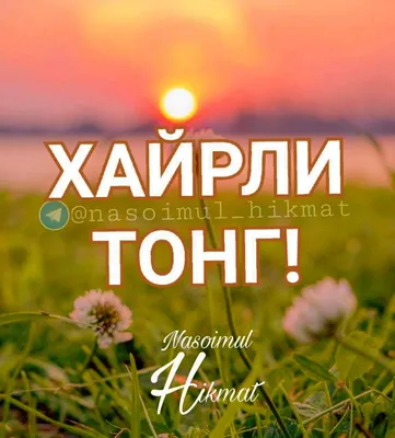 Хайрли тонг хаммага🌷🌷🌷 | TikTok