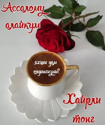 хайрлитонг😊 #хайрлитонг21🍵 #хайрли #тонг #ассаламуалейкум#🌹🌷🌹🌷 ... |  TikTok