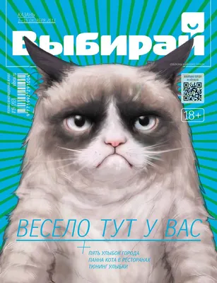 Выбирай №24 (208) на 15 31 декабря 2013 года by vibirai kazan - Issuu