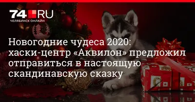 Хаски-центр \"Аквилон\" территория семейного отдыха, Челябинск - «Новогодняя  программа 2019г. в Аквилон-центре. Стоит ли ехать с ребёнком? » | отзывы