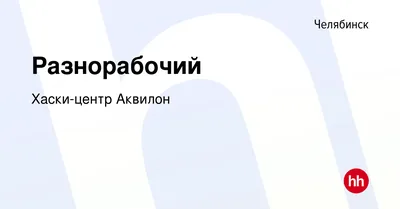 Новогодние чудеса 2020: хаски-центр «Аквилон» предложил отправиться в  настоящую скандинавскую сказку - 16 декабря 2019 - 74.ru