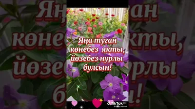 Хэерле иртэ#хэерлеиртэ #хэерле #доброеутро #рек #рекомендации2021 #лай... |  TikTok