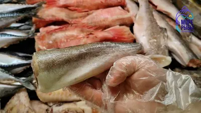 Почему хек продают без головы — подробно о популярной рыбе - Телеграф