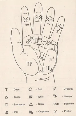 Индийские знаки | Хиромантия Palmistry