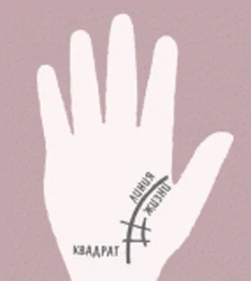 Толкование редких знаков на руке в хиромантии | Лисичка | Дзен