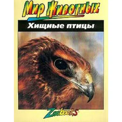 В Беларусь на зимовку: какие птицы прилетают к нам, чтобы переждать холода  | Планета Беларусь