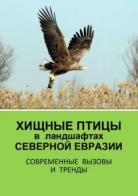 2020 Малый Лист Хищные Птицы Украины Фауна №1852-1859 (Купить)