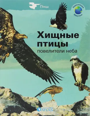 Купить книгу «Хищные птицы», Уилбур Смит | Издательство «Азбука», ISBN:  978-5-389-15188-8