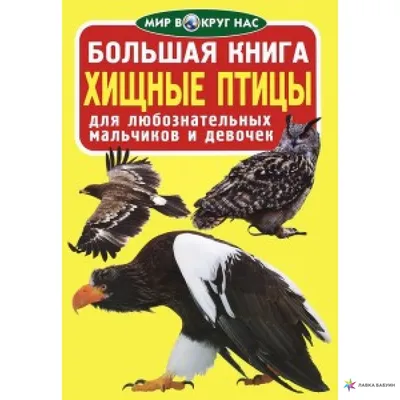 Издательство Фитон XXI Дневные хищные птицы европейской части России.