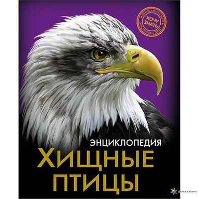 Орлан-белохвост выбран птицей 2013 года в России