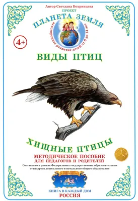 Хищные птицы нашей страны. Часть 3. Орлы. Степной орел. | Пикабу