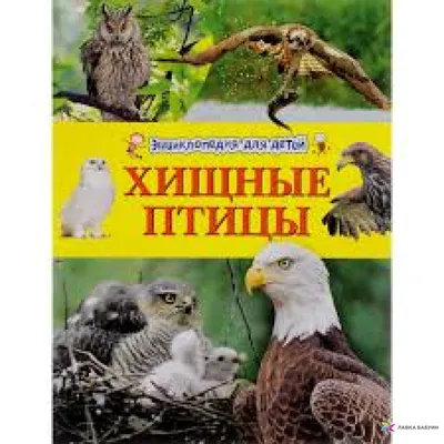 Спасти орлана: на Николаевщине ищут волонтеров для охраны гнезда  краснокнижной птицы от браконьеров | СВІДОК.info